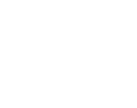 Megaphone icon